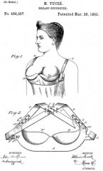 breast supporter 1893