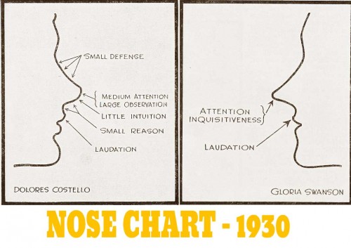 Hollywoods-perfect-noses-1930---CHART Hollywoods-perfect-noses-1930---CHART