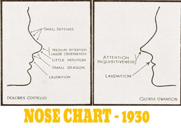Hollywood nose shapes