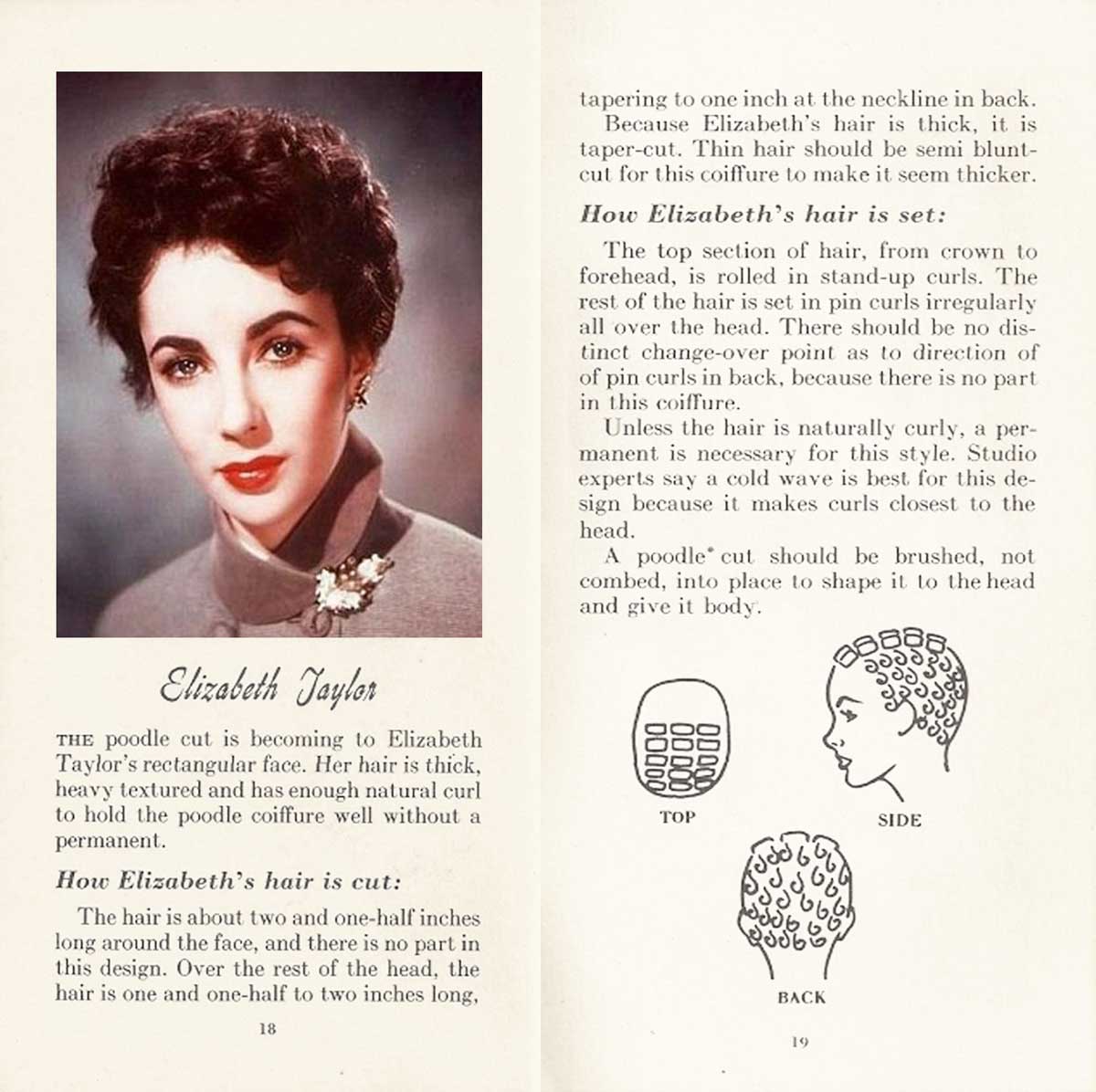 10 hollywood hairstyles of the 50s | glamour daze