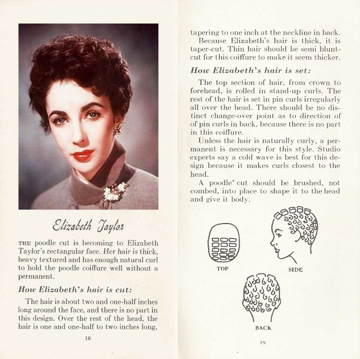 10 HOLLYWOOD HAIRSTYLES of the 50s LIZ TAYLOR