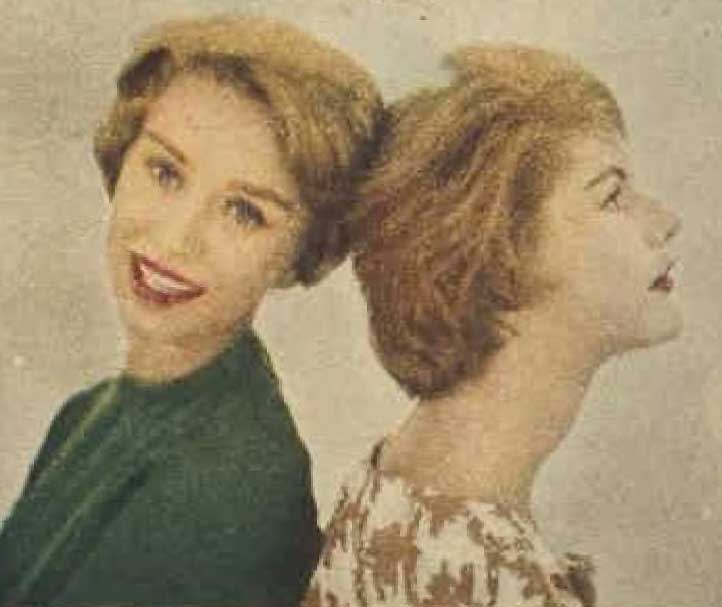 1959-AUTUMN-TINTS---hair before color