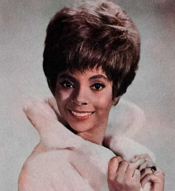 wig hairstyles of the 1960's